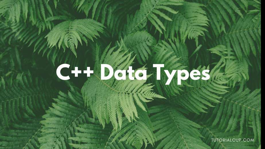 C++ Data Types Data Types in C++ Variables and Types in C++