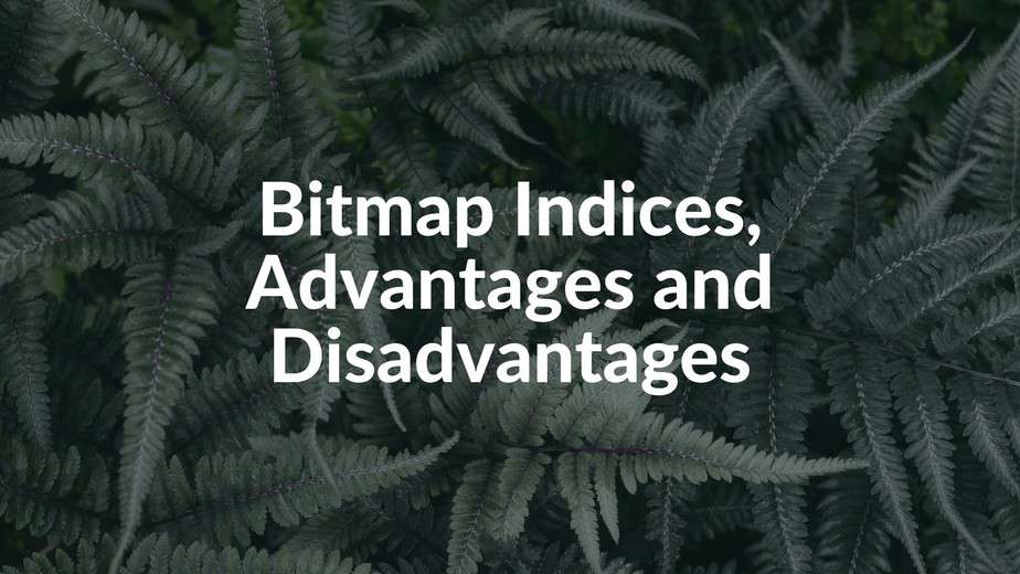 bitmap-indices-in-dbms