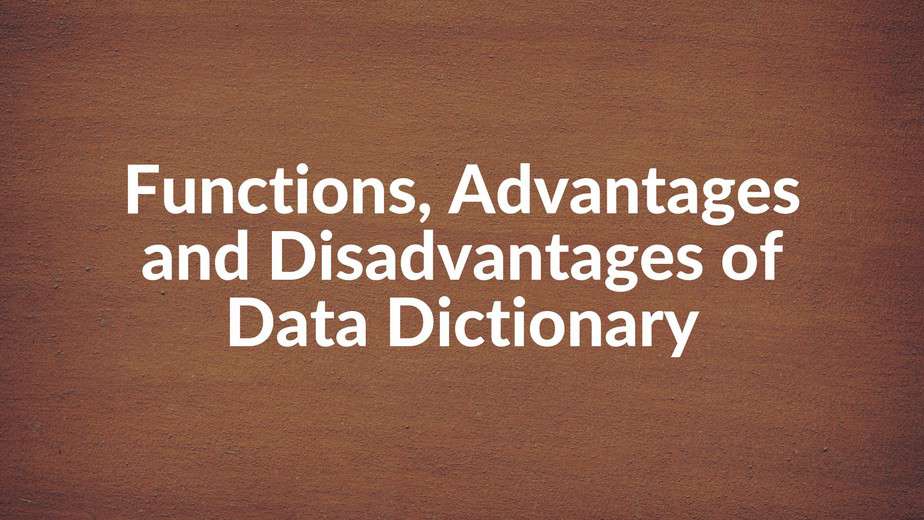 functions-of-data-dictionary-advantages-and-disadvantages