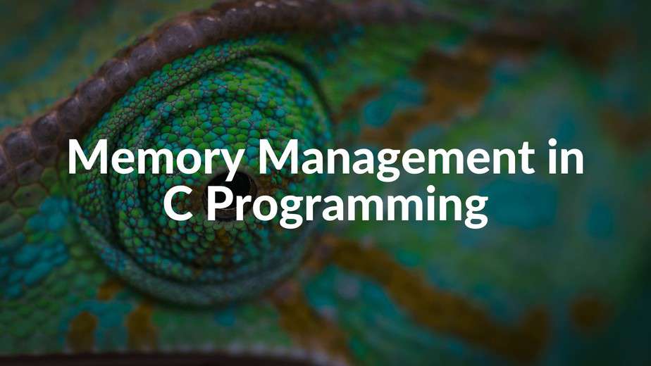 memory-management-in-c-programming