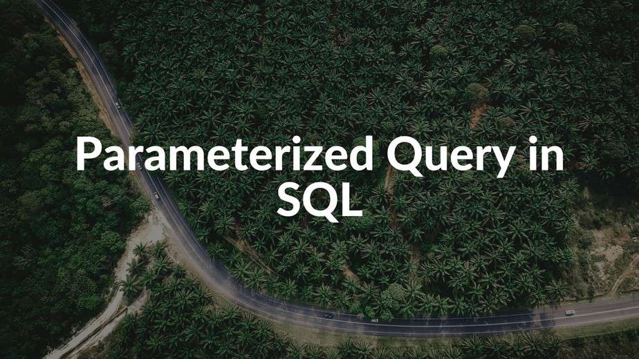 What Is Parameterized Query In C