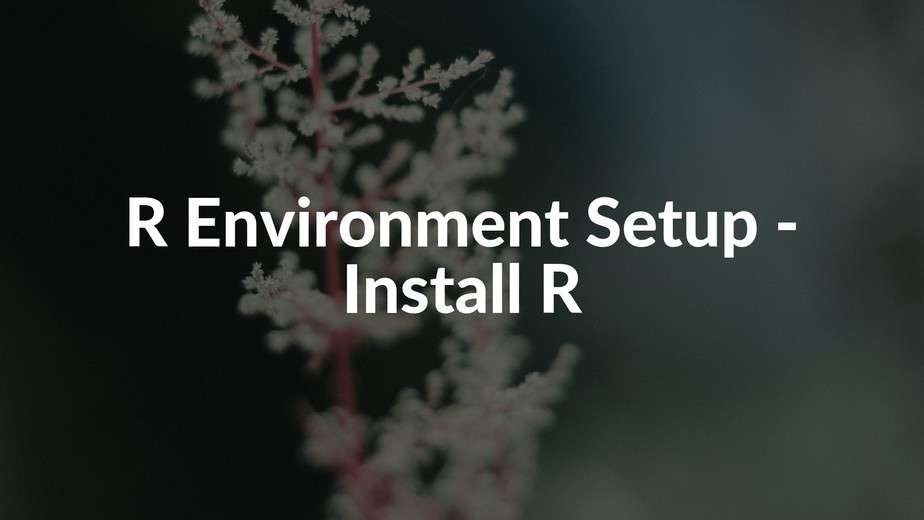 R environment. R environment