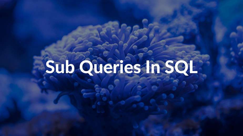 sub-queries-in-sql