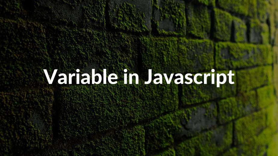 javascript-variable-variable-in-javascript-js-variable-how-to