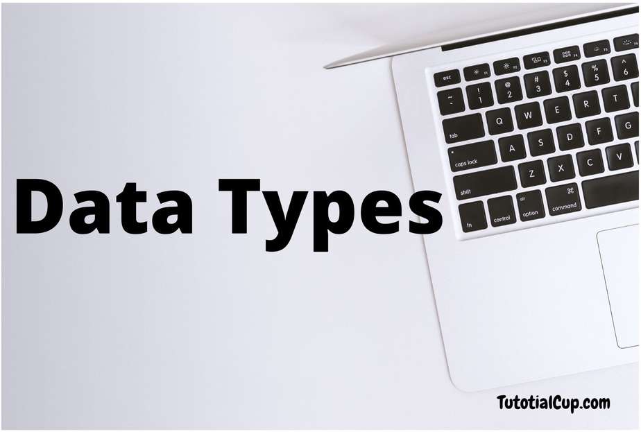 R Data Types TutorialCup