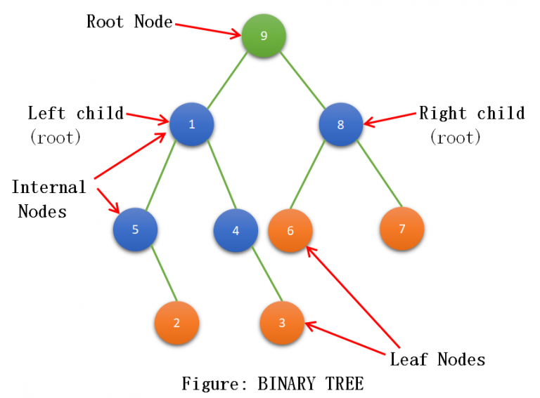 Types of Binary Tree - TutorialCup